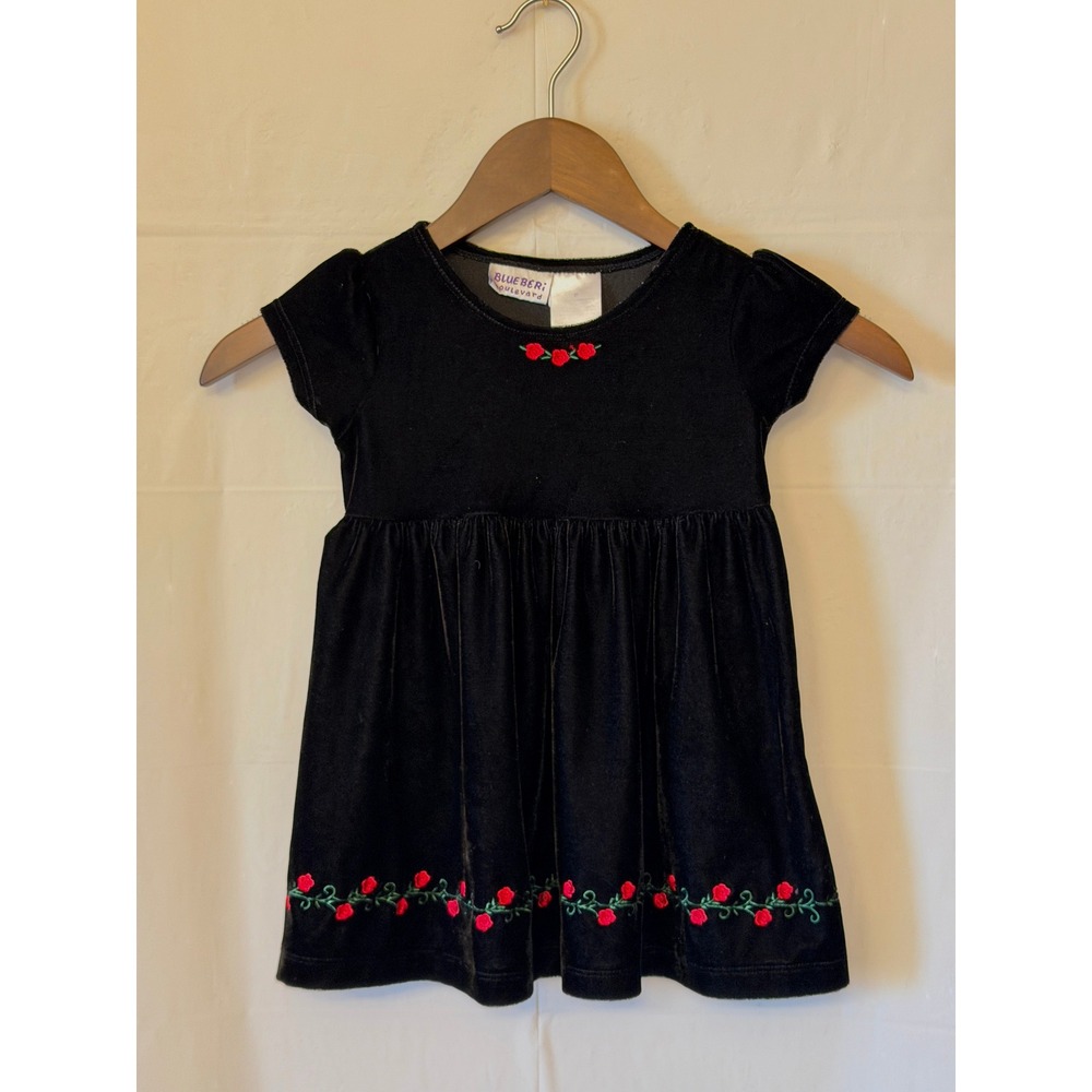 Blueberi Boulevard Toddler 2T Black Velvet Rose Embroidered Party Dress